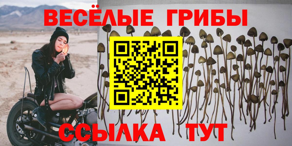 Галлюциногенные грибы GOLDEN TEACHER Кунгур