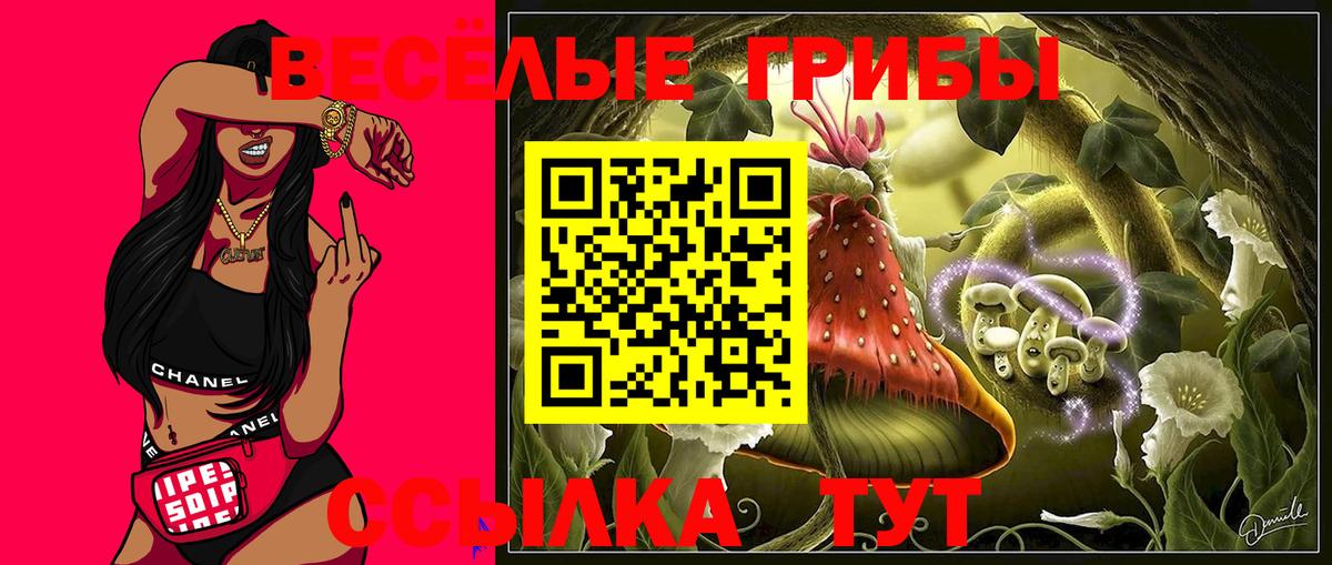 сколько стоит  Галлюциногенные грибы Psilocybine cubensis  Вход с VPN  Кунгур 